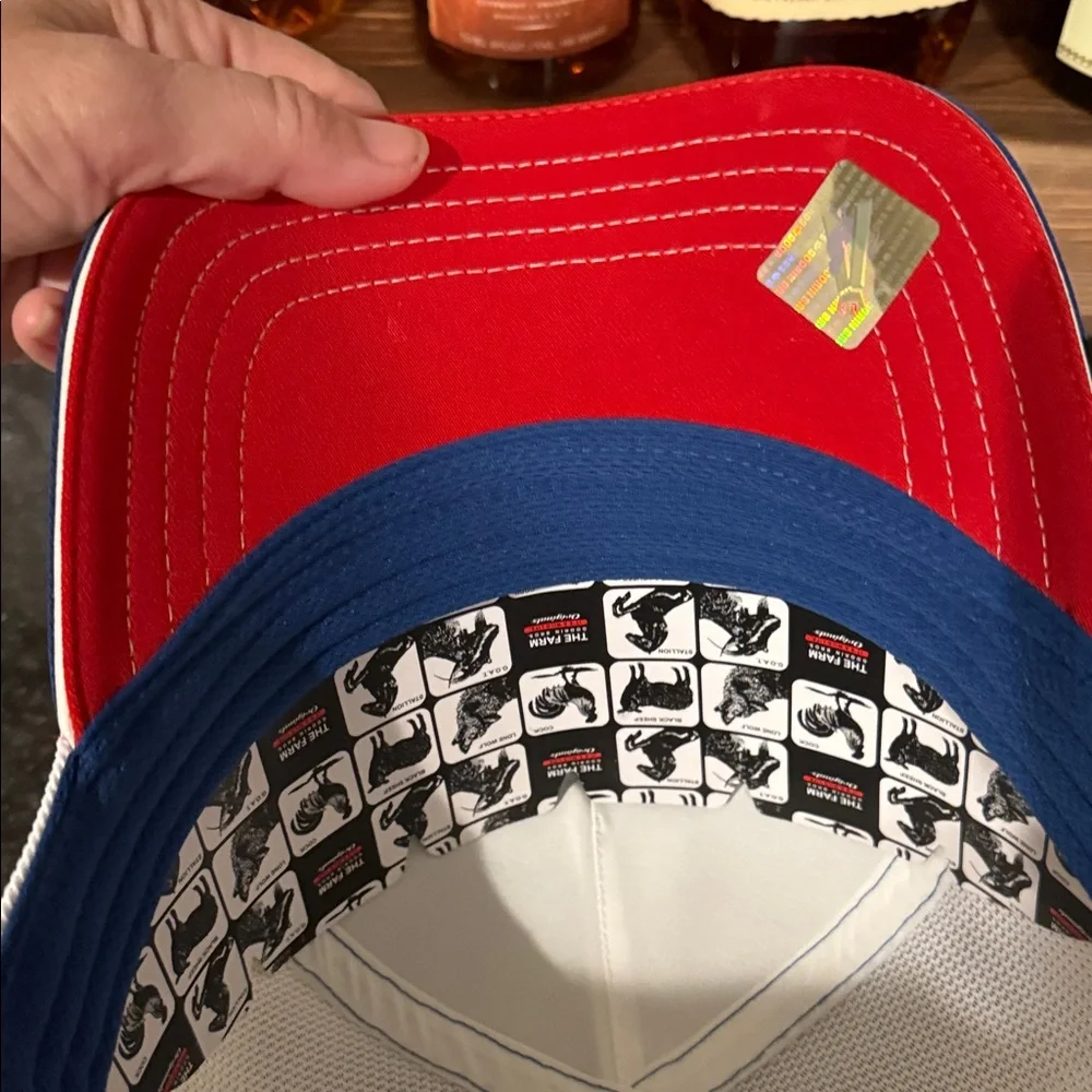 Goorin Bros Red and Blue Trucker Hat - Picture 3 of 4